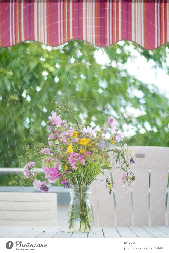 Sommerplatz Stuhl Tisch Frühling Blume Balkon Terrasse Garten Schmetterling Schwarm Blühend Duft fliegen rosa Blumenstrauß Blumenvase Markise Unschärfe Farbfoto