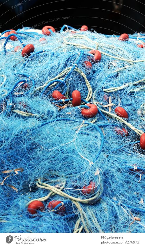 Endlich Wochenende Fischereiwirtschaft Fischernetz Netzwerk netzartig Fangnetz Farbfoto Außenaufnahme Tag