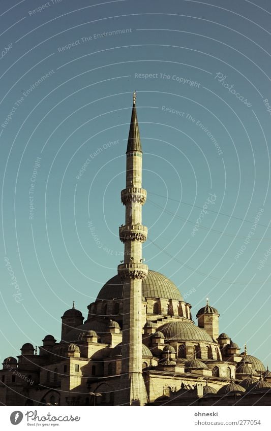 Istanbul am Abend Altstadt Menschenleer Bauwerk Architektur Moschee Glaube Religion & Glaube Islam Minarett Farbfoto Außenaufnahme Textfreiraum oben Dämmerung