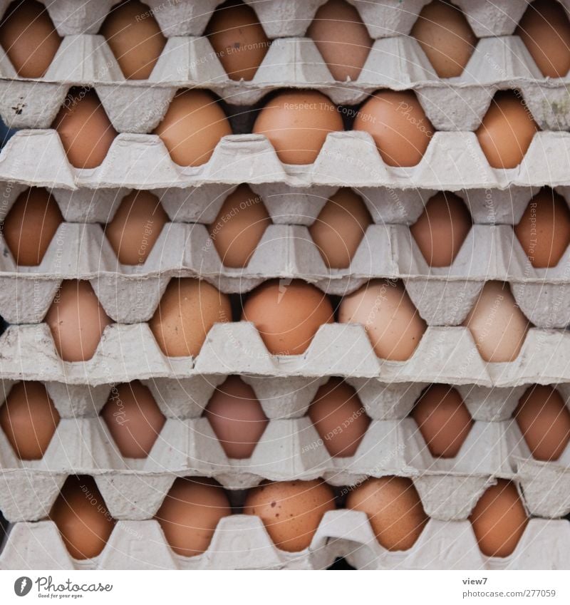 Eier haben Lebensmittel Ernährung Gastronomie authentisch einfach kaufen Ordnung Güterverkehr & Logistik Eierschale Vorrat Eigelb Markttag verkaufen Zutaten