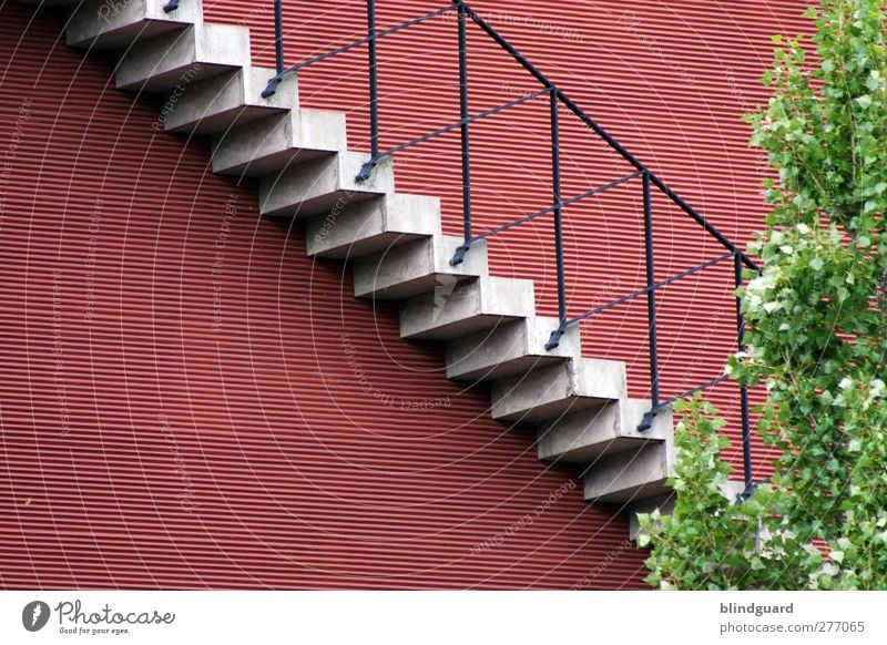 Stairway Baum Blatt Stadt Menschenleer Haus Bauwerk Gebäude Architektur Mauer Wand Treppe Fassade Stein Beton Metall ästhetisch elegant grau grün rot schwarz