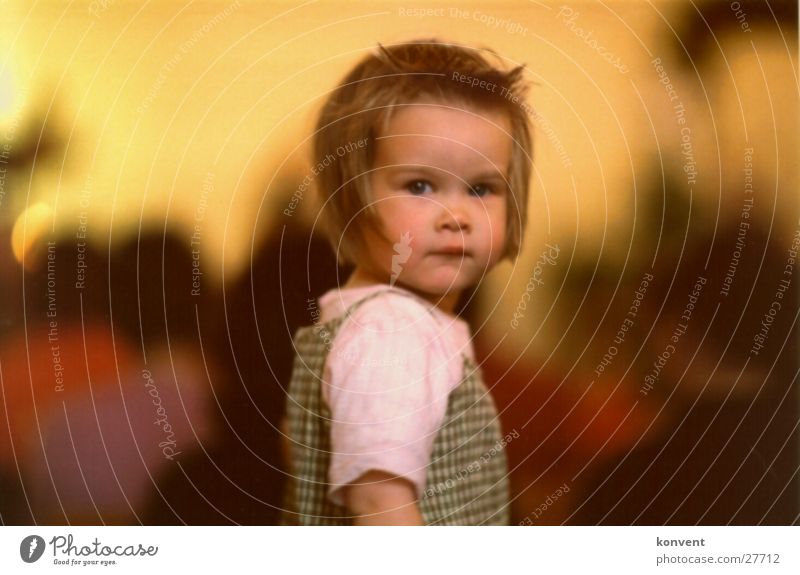 Loreen Kind Porträt Hintergrundbild Physik weich Freundlichkeit süß Blick Wärme Stimmung