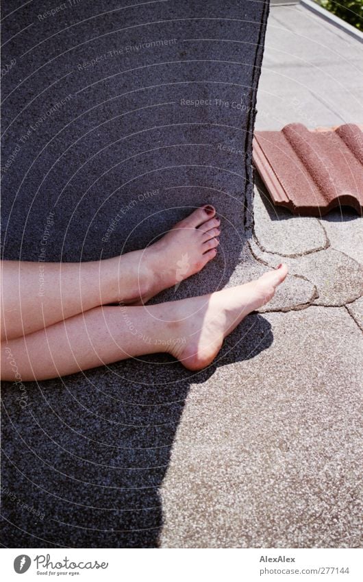Analogkäse Dachziegel Schornstein feminin Beine Fuß 1 Mensch 18-30 Jahre Jugendliche Erwachsene liegen sitzen ästhetisch schön grau rot Gelassenheit Farbe
