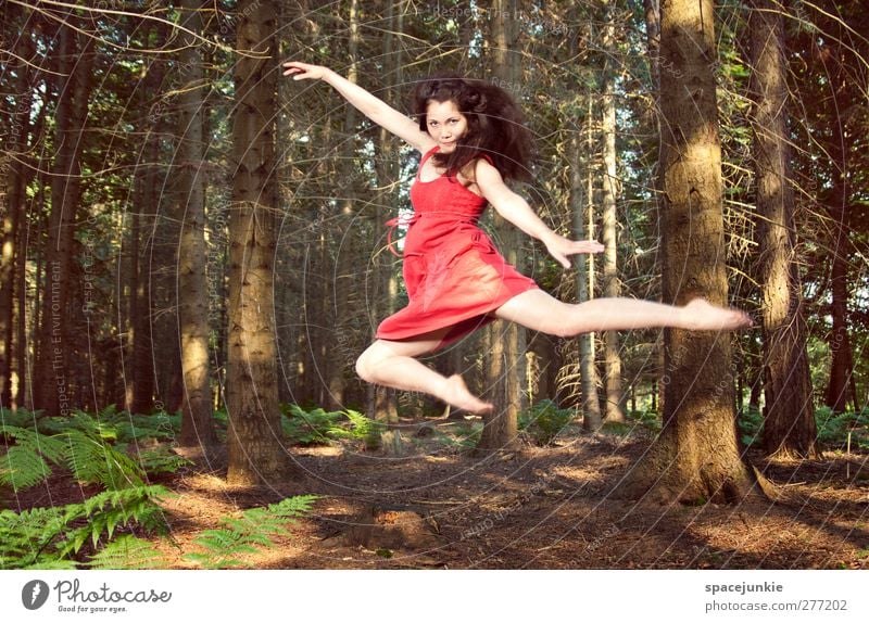 Flying through the woods Mensch feminin Junge Frau Jugendliche Erwachsene Körper 1 18-30 Jahre Tanzen Tänzer Balletttänzer Natur Landschaft Sommer Pflanze Baum