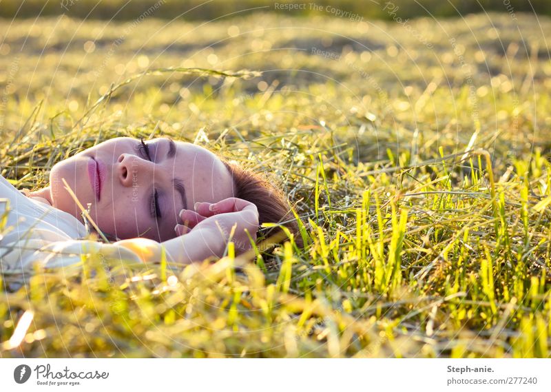 Den Sommer genießen. feminin Junge Frau Jugendliche Gesicht Hand Gras Wiese liegen schlafen träumen Glück natürlich positiv gelb grün Zufriedenheit Geborgenheit