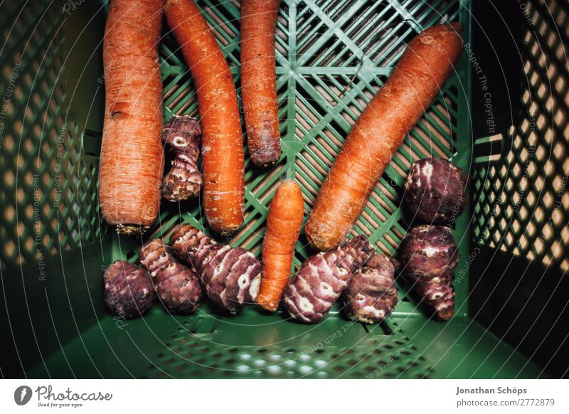 Möhren und Topinambur in der Bio Kiste Lebensmittel Gemüse Ernährung Bioprodukte Vegetarische Ernährung Diät kaufen Gesundheit Gesundheitswesen