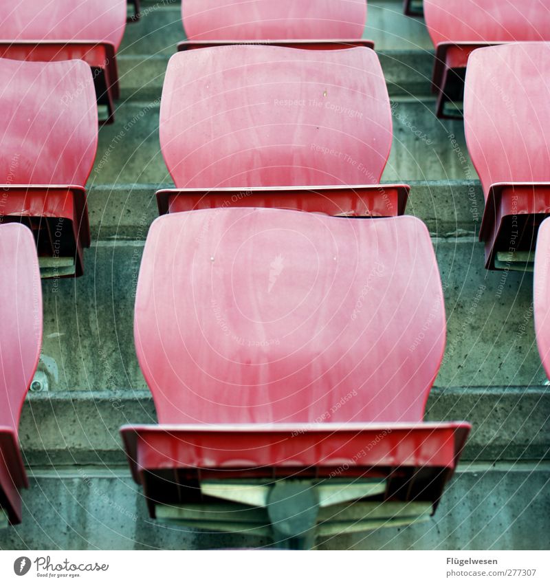 Schönwetterfans Sport Sportstätten Stadion alt Beton sitzschale Sitzgelegenheit Sitzreihe Stuhl Kunststoff Farbfoto Außenaufnahme Tag Reihe aufgereiht