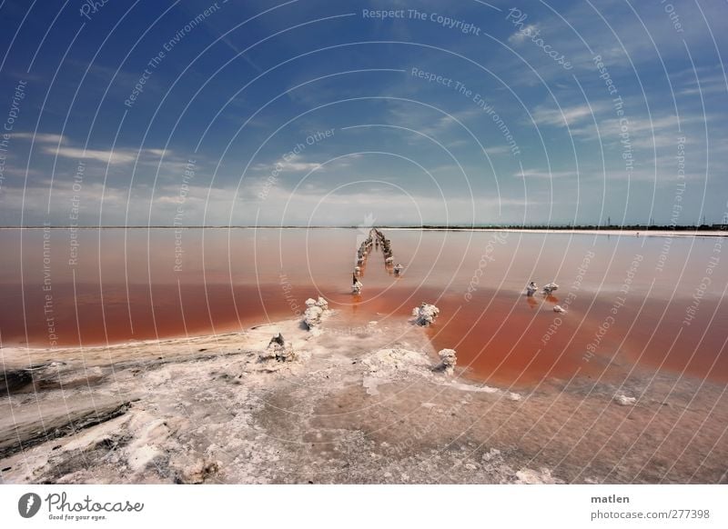 Salzsee Landschaft Wasser Himmel Wolken Horizont Sommer Schönes Wetter Dürre Küste Seeufer blau rot weiß Steppe karg Krim mehrfarbig Außenaufnahme Menschenleer