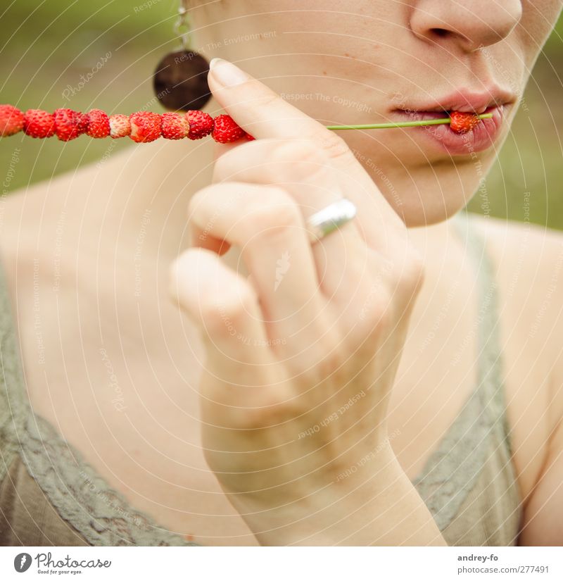 Leckere Wald-Erdbeeren Picknick Bioprodukte Vegetarische Ernährung Diät Lifestyle feminin Junge Frau Jugendliche berühren Essen genießen Küssen ästhetisch