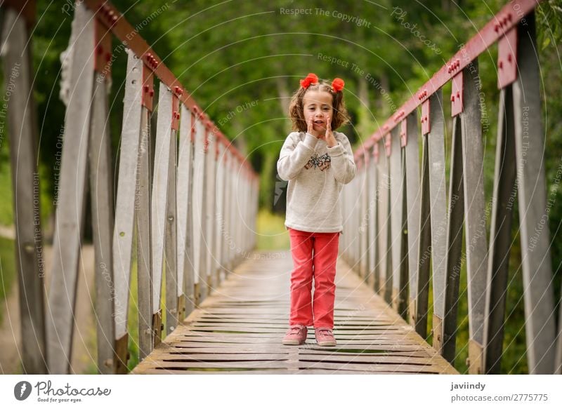 Süßes kleines Mädchen, das Spaß in einer ländlichen Brücke hat. Freude Glück schön Leben Spielen Kind Mensch feminin Kindheit 1 3-8 Jahre Natur Blume Lächeln
