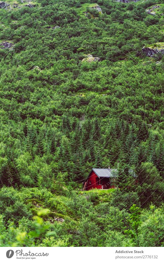 Haus im Wald am Berghang Berge u. Gebirge abgelegen friedlich ruhig Farbe Wetter Immergrün Gelände Landschaft Natur Gebäude Außenseite üppig (Wuchs) Idylle