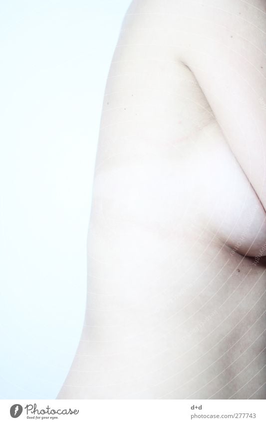 P Körper Haut nackt Brust weiß Scham Frauenbrust Körperpflege Erotik Sexualität entkleiden Morgen