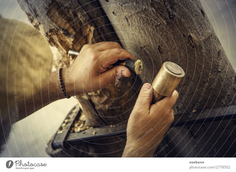 Schnitzen von Holz Design Dekoration & Verzierung Arbeit & Erwerbstätigkeit Industrie Handwerk Werkzeug Hammer Mensch Kunst Metall alt machen braun Kreativität