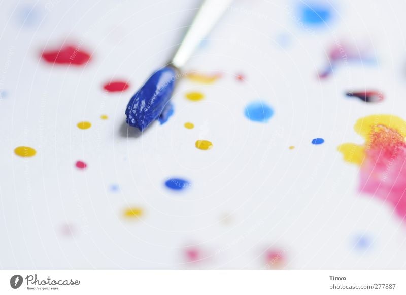 blaue Pinselspitze Wasserfarben auf Papier mit Farbkleksen Freizeit & Hobby hell mehrfarbig gelb rot weiß Farbe Aquarell Punkt Tropfen Farbtropfen Kunst malen