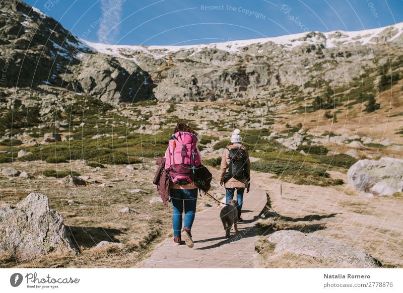 Zwei Frauen in Begleitung ihrer Hunde gehen auf der Wiese entlang. schön Leben Freizeit & Hobby Ausflug Abenteuer Freiheit Berge u. Gebirge wandern Mensch