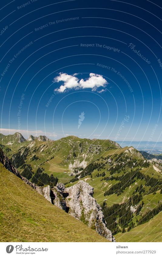 Pferd-Wolke überm grünen Berg? wandern Klettern Bergsteigen Natur Landschaft Himmel Wolken Sommer Hügel Felsen Alpen Berge u. Gebirge einfach schön blau weiß