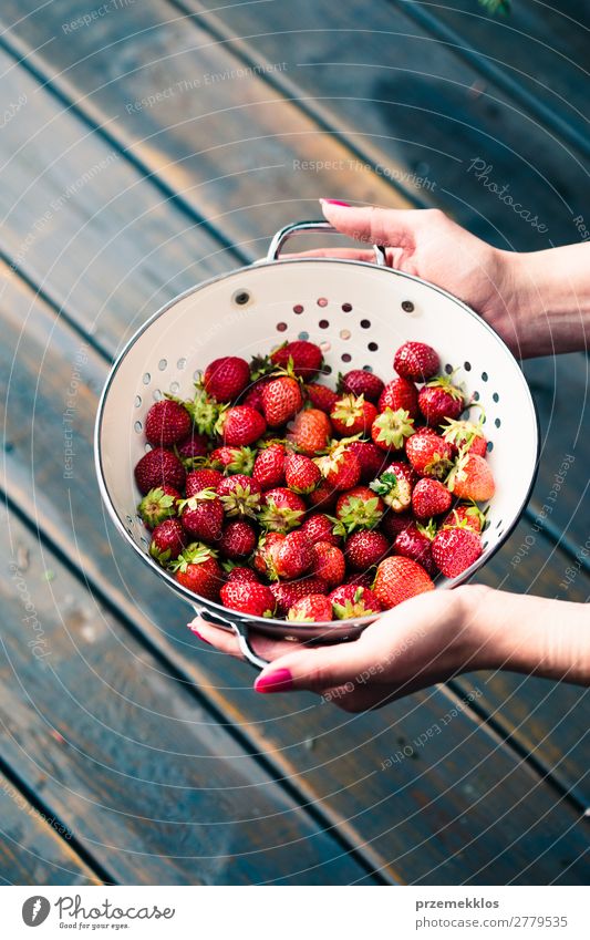 Weibliche Hand hält eine Schale mit frischen Erdbeeren. Frucht Vegetarische Ernährung Schalen & Schüsseln Sommer Tisch Frau Erwachsene Natur Holz lecker