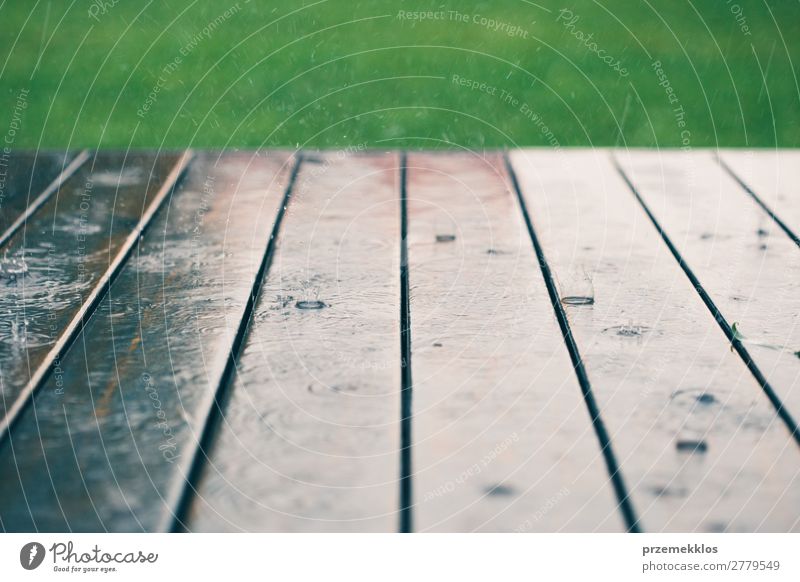 Holzbohlen bei perspektivischem Regen mit Gras an der Spitze. Sommer Wetter Tropfen nass Hintergrund Holzplatte Schiffsplanken Veranda Regentropfen Jahreszeiten