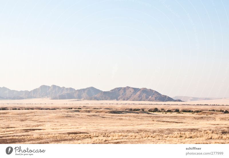 irgendwo dahinten... Umwelt Natur Landschaft Wolkenloser Himmel Berge u. Gebirge Wüste Ferne Steppe Gras Grasland Safari Überblick Trockenfluss Sossusvlei Namib
