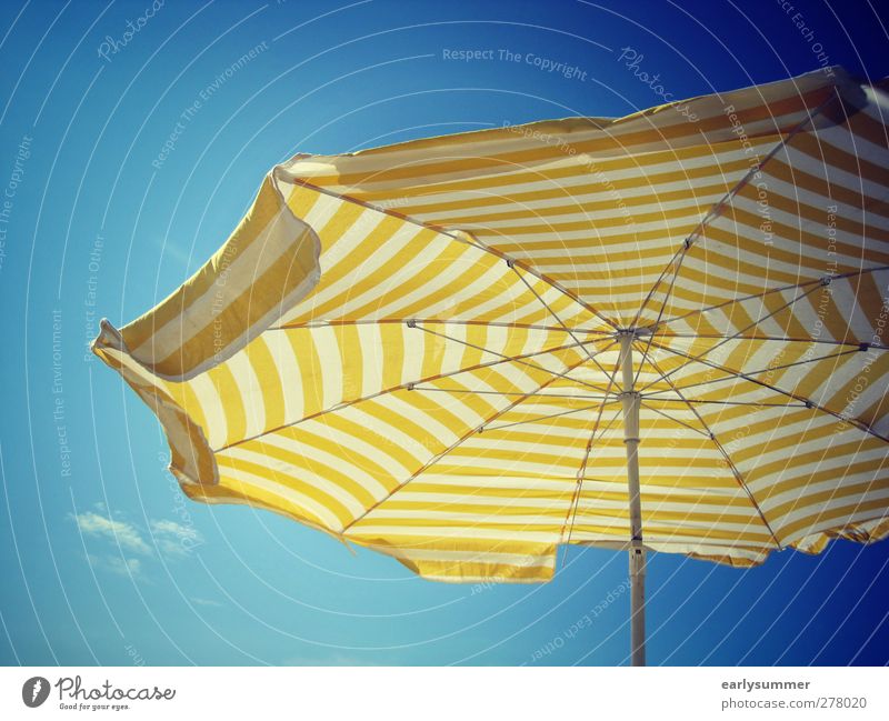 Sommer, Sonne, Sonnenschein Stil Design Ferien & Urlaub & Reisen Freiheit Sommerurlaub Sonnenbad Strand Meer Garten Luft Himmel Wolkenloser Himmel Sonnenlicht