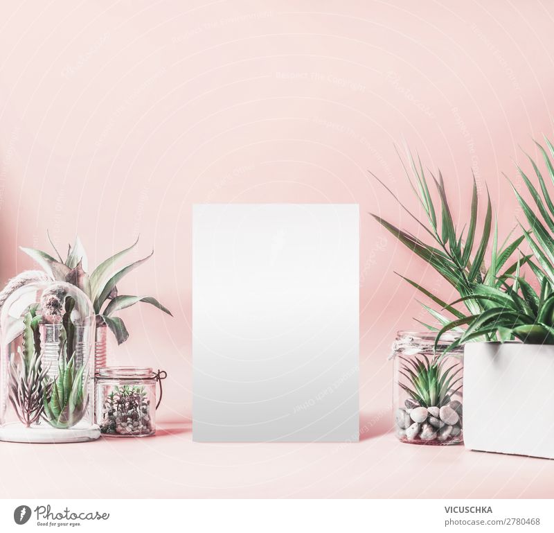 Zimmerpflanzen Hintergrund mit mock up kaufen Design Häusliches Leben Innenarchitektur Dekoration & Verzierung Tisch Pflanze Topfpflanze exotisch Mauer Wand