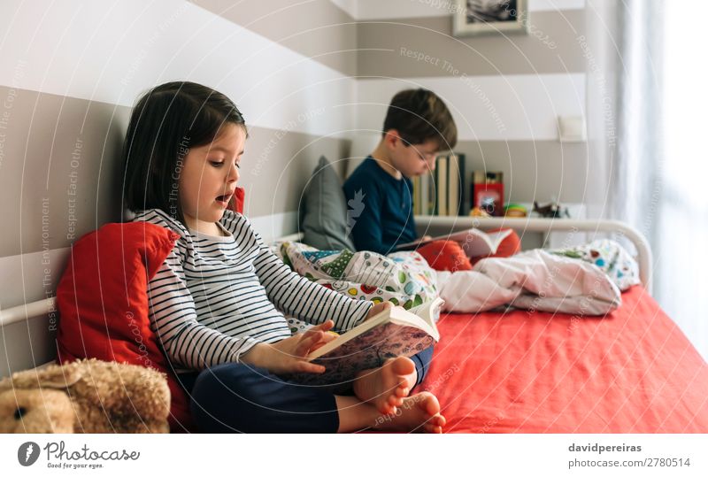 Mädchen und Junge lesen Buch jeder sitzt auf dem Bett Lifestyle schön Windstille Schlafzimmer Kind Schule Mensch Frau Erwachsene Mann Schwester Kindheit Hund