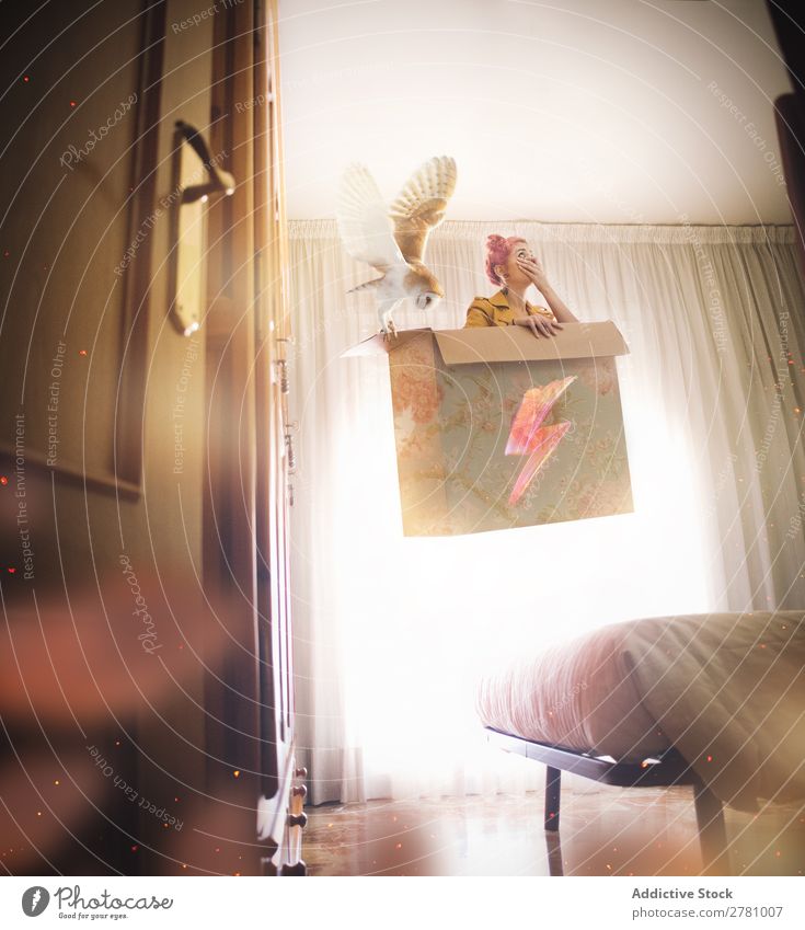 Frau mit rosa Haaren schwebt in einer Box mit Eule. Phantasie Fliege in der Luft oben Bett Schlafzimmer Pappschachtel Kasten sitzen Innenaufnahme vertikal
