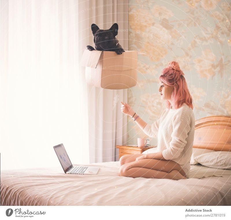 Frau mit rosa Haaren sitzt auf dem Bett und Box mit schwarzem Hund schwebt über Kopf. Phantasie Fliege in der Luft oben Schlafzimmer Pappschachtel Kasten