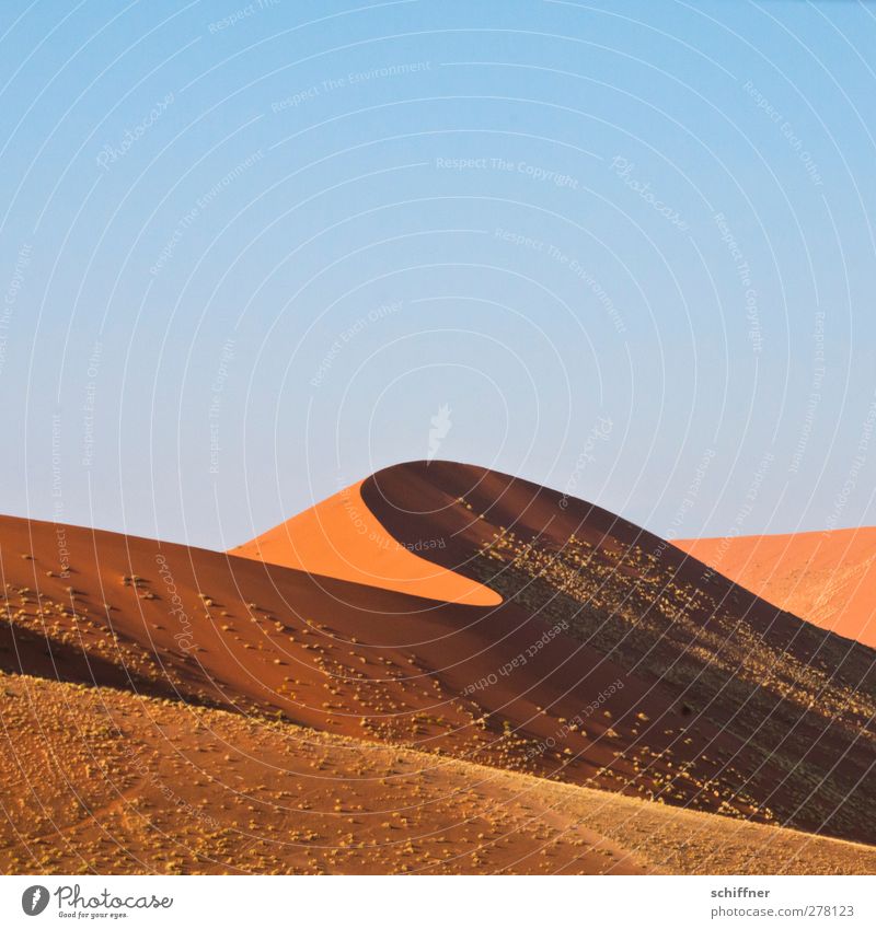 Puscheldüne II - Die perfekte Welle Umwelt Natur Landschaft Wolkenloser Himmel Schönes Wetter Wellen Wüste rot Gras Düne Stranddüne Dünengras Bergkamm Ödland