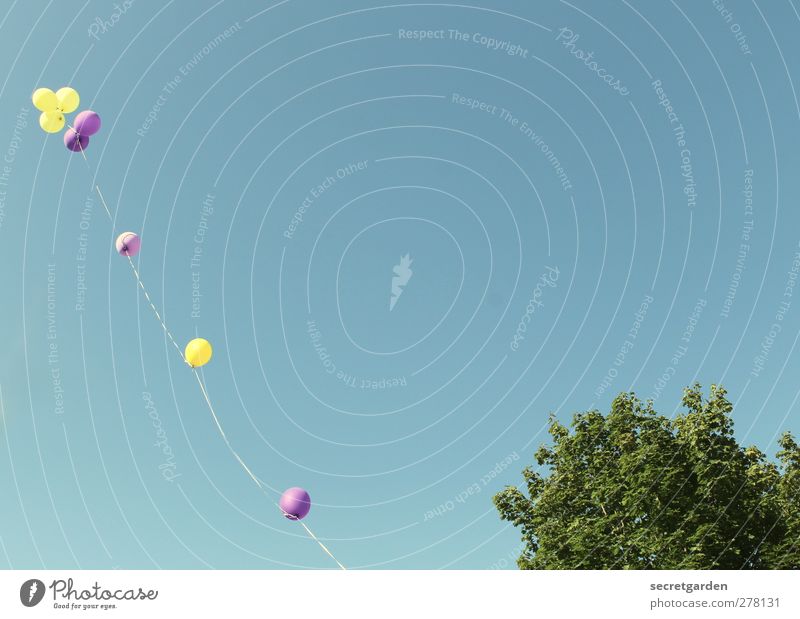 hooooooch solln sie leben! Party Veranstaltung Geburtstag Show Wolkenloser Himmel Sommer Schönes Wetter Baum Dekoration & Verzierung Luftballon fliegen hell