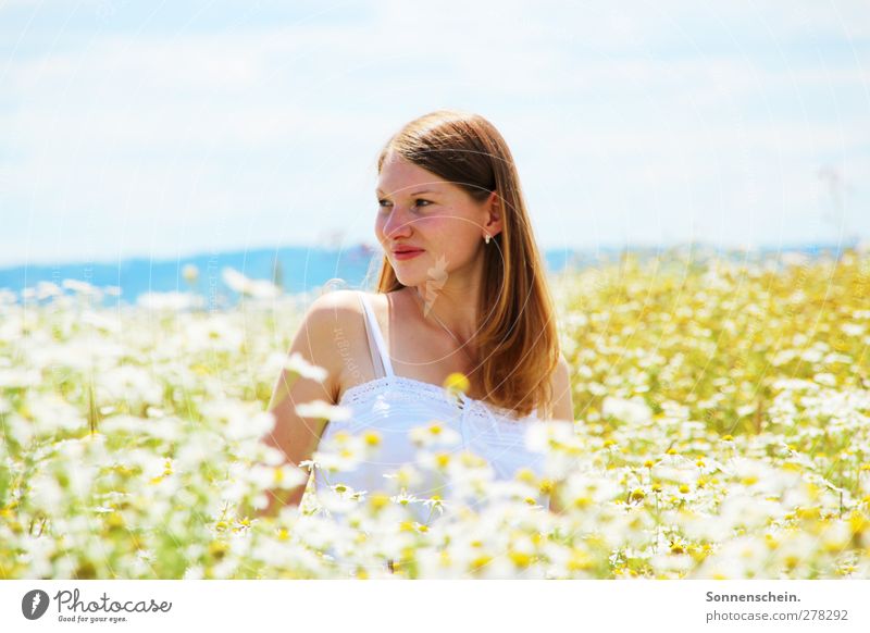 summer dreaming Zufriedenheit Sommer feminin Junge Frau Jugendliche Kopf 18-30 Jahre Erwachsene Natur Landschaft Sonnenlicht Schönes Wetter Blume Blüte Wiese