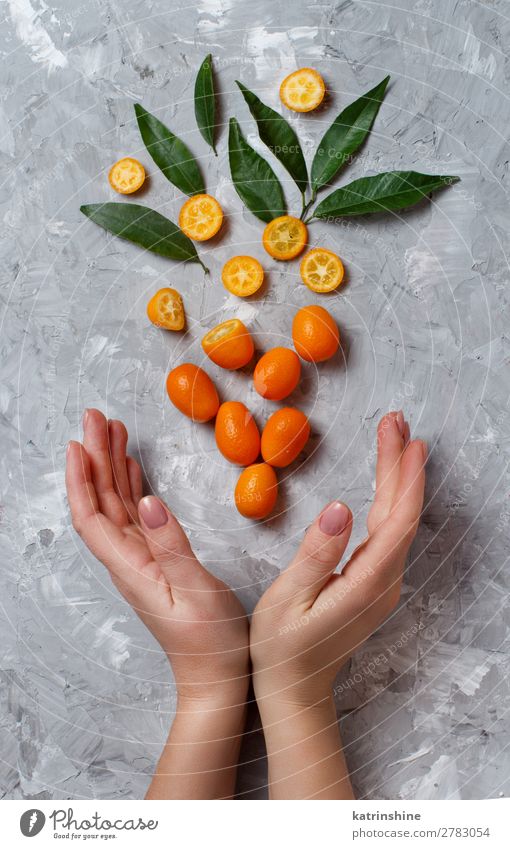 Kumquat-Früchte auf grauem Hintergrund Frucht Dessert Ernährung Vegetarische Ernährung Diät exotisch Hand Menschengruppe Blatt frisch natürlich oben saftig gelb