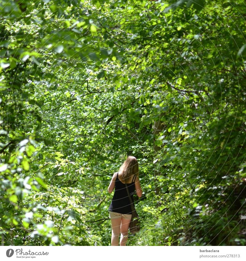 Chlorophyll-Therapie Junge Frau Jugendliche Erwachsene 1 Mensch 18-30 Jahre Sommer Baum Laubwald Sträucher Wald gehen genießen wandern frisch Gesundheit grün