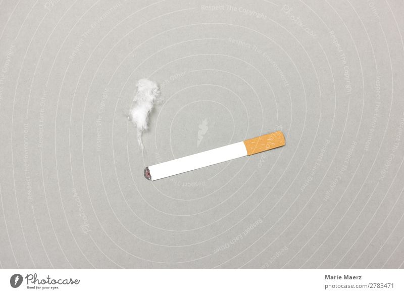 Brennende Zigarette mit Rauch Lifestyle Gesundheit Rauchen atmen grau Laster Appetit & Hunger Stress Drogensucht genießen Nikotin Sucht Ritual Routine Pause