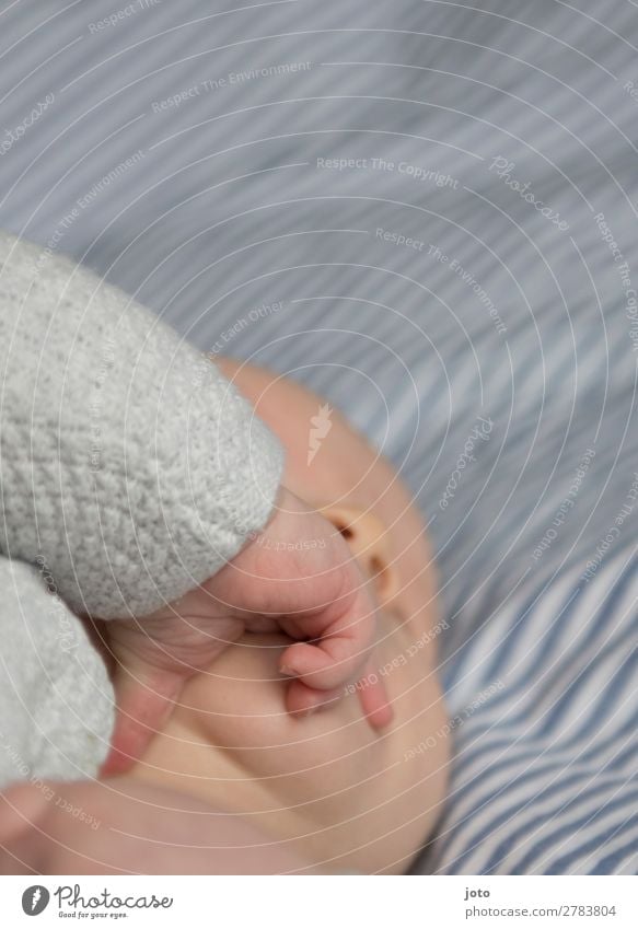 beruhigen Baby Junge Kindheit Hand Finger 0-12 Monate berühren entdecken liegen Gesundheit kuschlig natürlich Neugier niedlich blau Vertrauen Geborgenheit