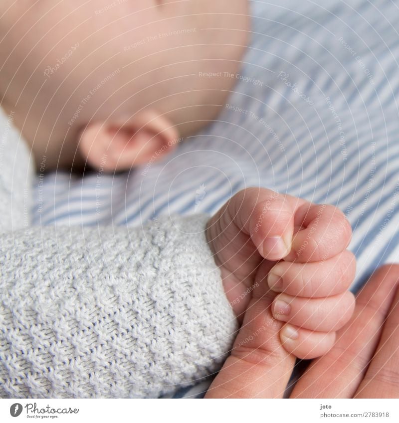 geborgen Baby Mutter Erwachsene Kindheit Hand Finger 0-12 Monate berühren liegen Zusammensein natürlich niedlich blau Vertrauen Sicherheit Geborgenheit trösten