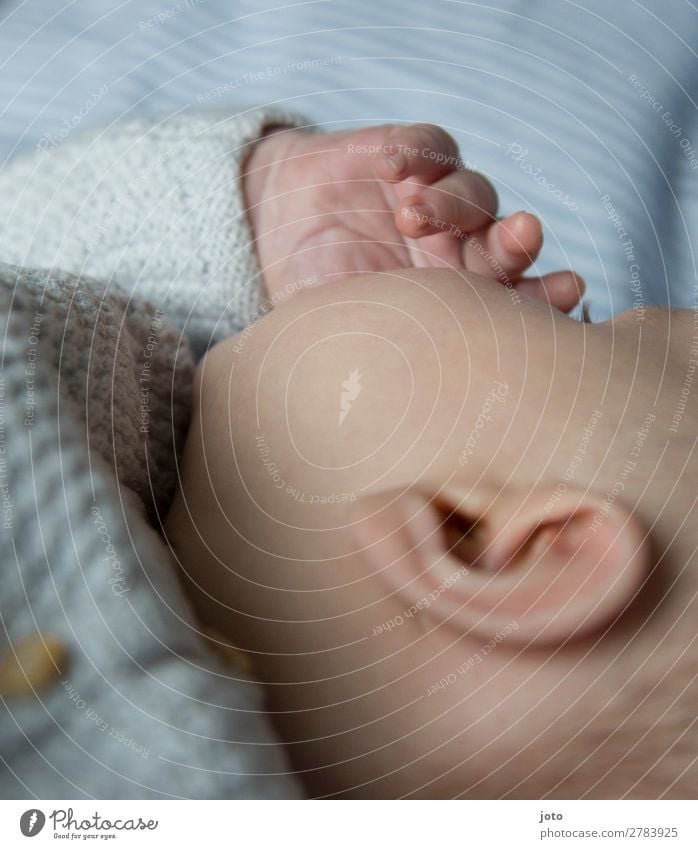 Daumen lutschen Körperpflege Haut Gesundheit Leben Zufriedenheit Erholung ruhig Baby Junge Kindheit Ohr Hand 0-12 Monate berühren liegen schlafen träumen