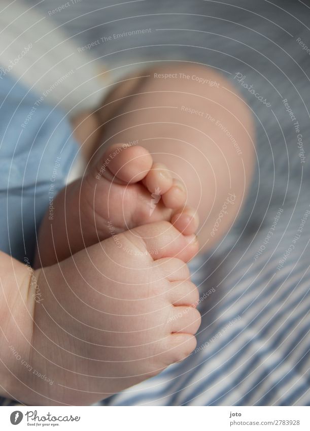 Zehentanz Körperpflege Haut Leben Baby Junge Kindheit Fuß 0-12 Monate Unterwäsche berühren liegen schlafen träumen Wachstum Glück nackt natürlich niedlich blau