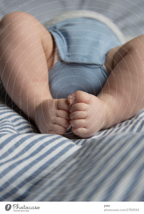 ertasten Glück Körperpflege Haut Zufriedenheit ruhig Baby Junge Kindheit Beine Fuß 0-12 Monate berühren liegen schlafen träumen Wachstum nackt natürlich