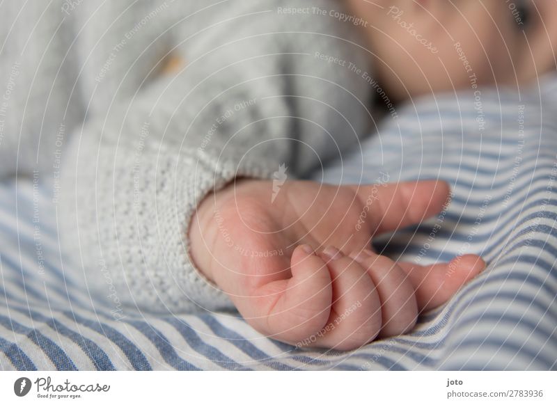 Händchen Leben Baby Junge Kindheit Hand Finger 0-12 Monate Unterwäsche berühren liegen schlafen träumen Wachstum Gesundheit Glück natürlich niedlich blau
