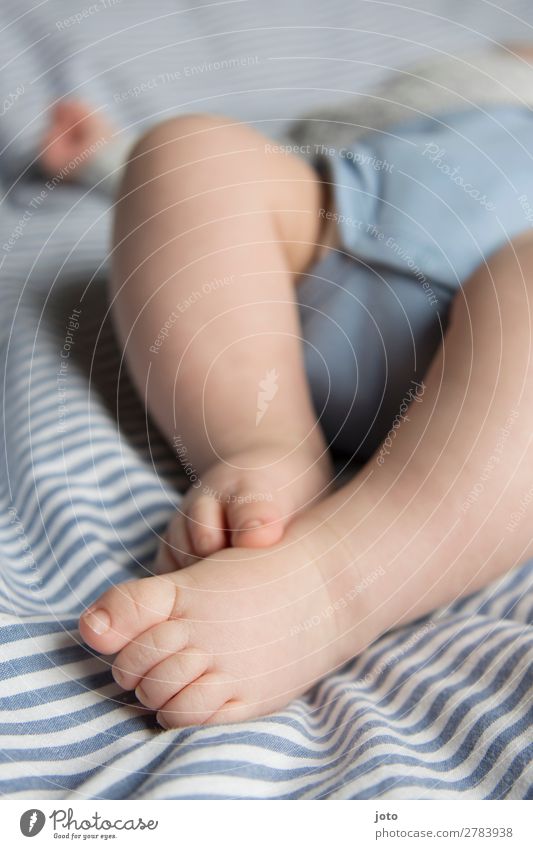 fühlen Glück Gesundheit Zufriedenheit Erholung ruhig Freiheit Baby Kindheit Beine Fuß 0-12 Monate berühren Bewegung entdecken liegen frei natürlich Neugier