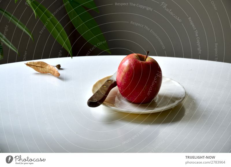 Roter Apfel mit Küchenmesser auf weissem Teller Lebensmittel Frucht Ernährung Bioprodukte Vegetarische Ernährung Messer Lifestyle Gesundheit Wellness harmonisch