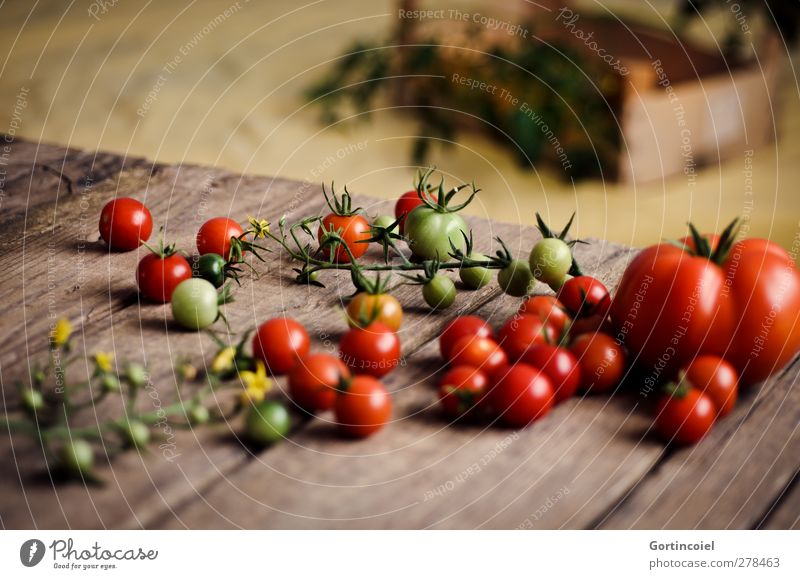 Homegrown Lebensmittel Gemüse Ernährung Bioprodukte Vegetarische Ernährung Slowfood frisch Gesundheit Tomate Ernte Holzkiste Holztisch Cocktailtomate