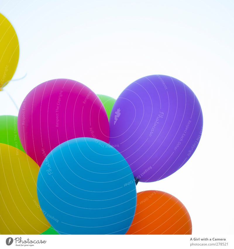 what a day! Lifestyle Dekoration & Verzierung rund viele verrückt mehrfarbig Luftballon Feste & Feiern Freude Farbfoto Außenaufnahme Detailaufnahme Luftaufnahme