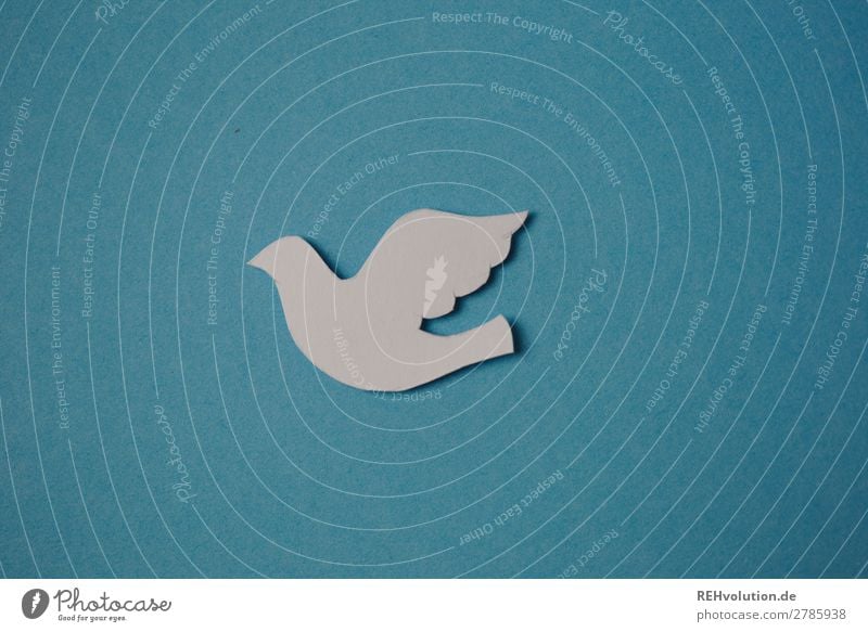 Taube aus Papier auf blauem Hintergrund Tier Vogel 1 Zeichen fliegen Frieden Hoffnung Religion & Glaube Friedenstaube Pfingsten heilig Christentum Außenaufnahme