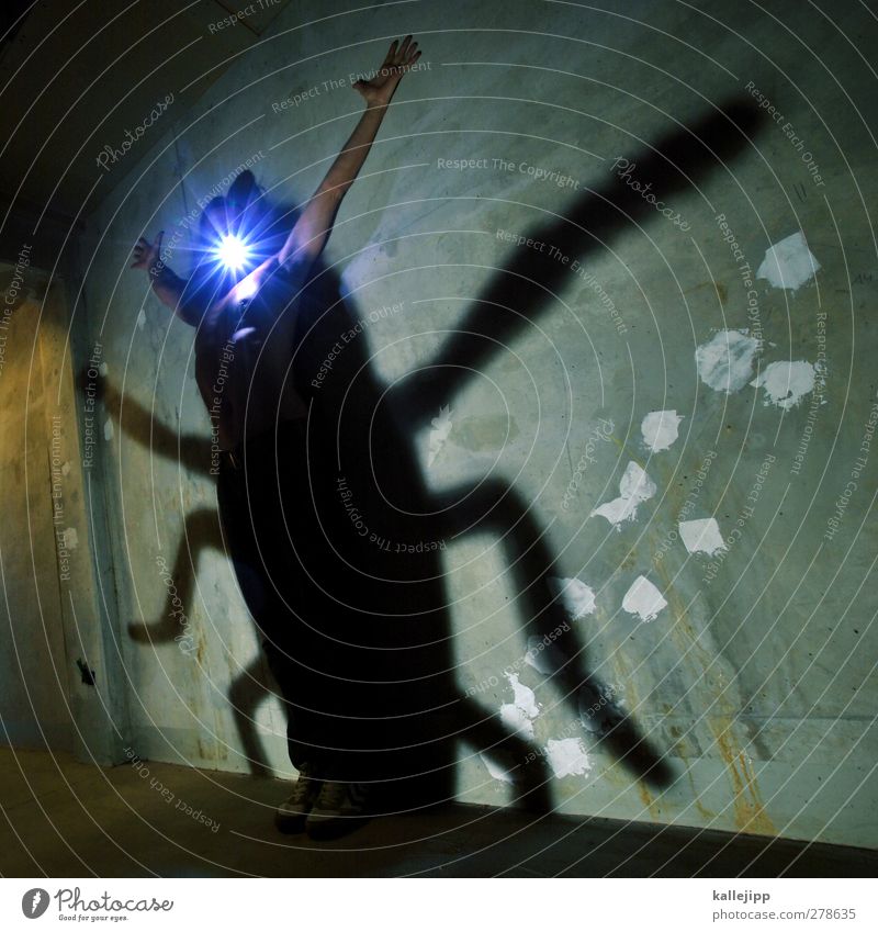die verwandlung Mensch maskulin 1 Tier Käfer leuchten verwandeln Schattenspiel Gemeine Küchenschabe Insekt Monster gruselig Taschenlampe Beton Karnevalskostüm