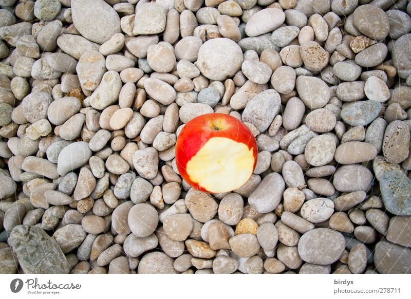 Der lachende Apfel leuchten lustig Originalität saftig schön süß grau rot ästhetisch Kieselsteine angefressen 1 Foodfotografie Farbfoto Außenaufnahme