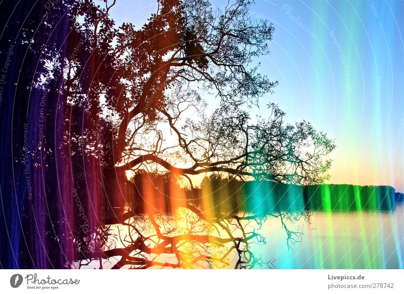 Farben der Müritz 2 Kunst Künstler Maler Umwelt Natur Landschaft Pflanze Wasser Himmel Wolkenloser Himmel Sonne Sonnenaufgang Sonnenuntergang Sonnenlicht Sommer