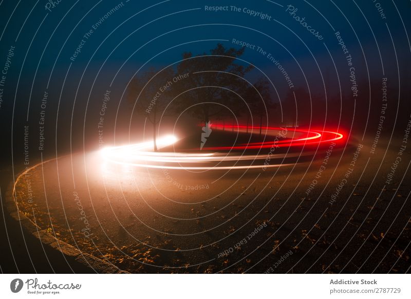 Blick auf abstrakte Glanzlichter auf der Straße zwischen Nebel bei Nacht Aussicht Licht Linie hell Wege & Pfade Baum Landschaft Abend dunkel glänzend Unschärfe
