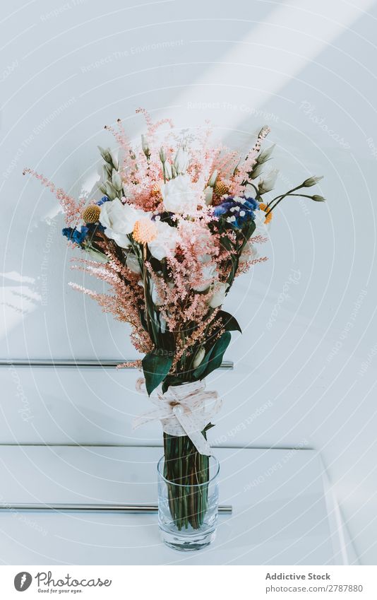 Wunderschöne frische Blumen in Vase Blumenstrauß wunderbar Valentinsgruß geblümt Haufen aromatisch Wand weiß Glas Natur Dekoration & Verzierung Blüte Pflanze